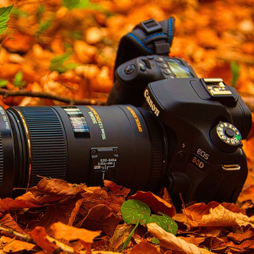 Canon Camera